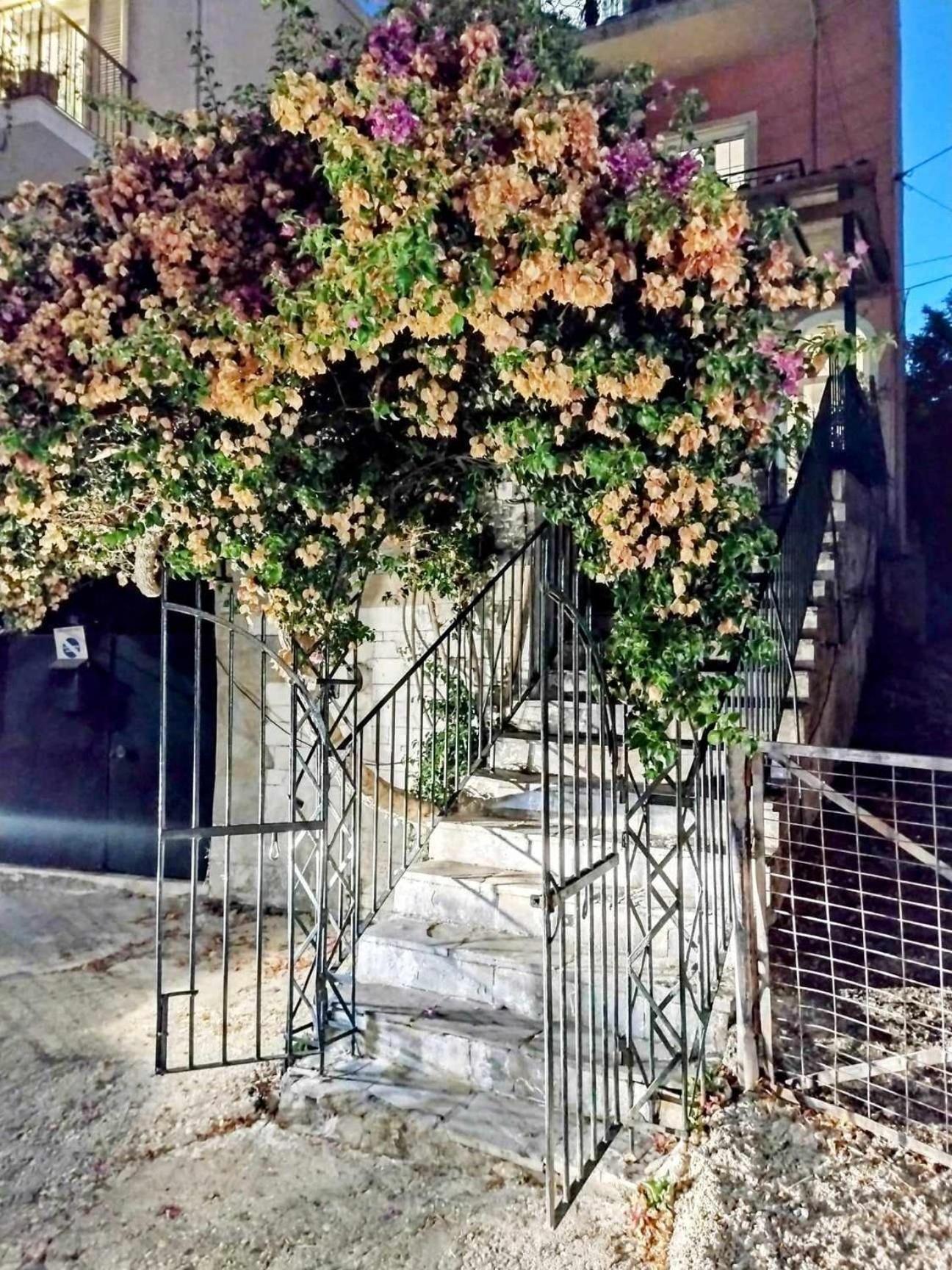 Corfu Pelekas Apartment 2 Eksteriør bilde